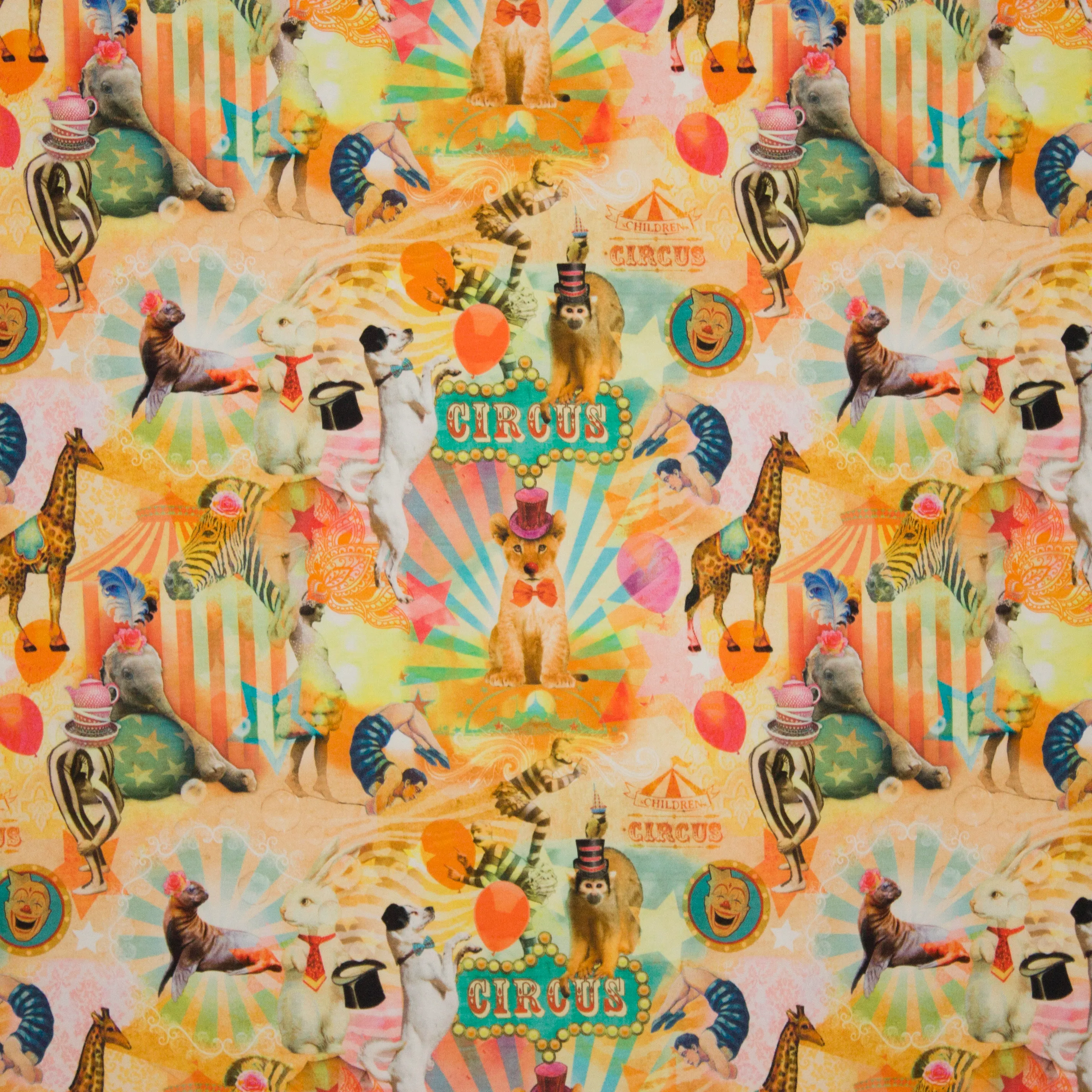 Tricot met circustafereel