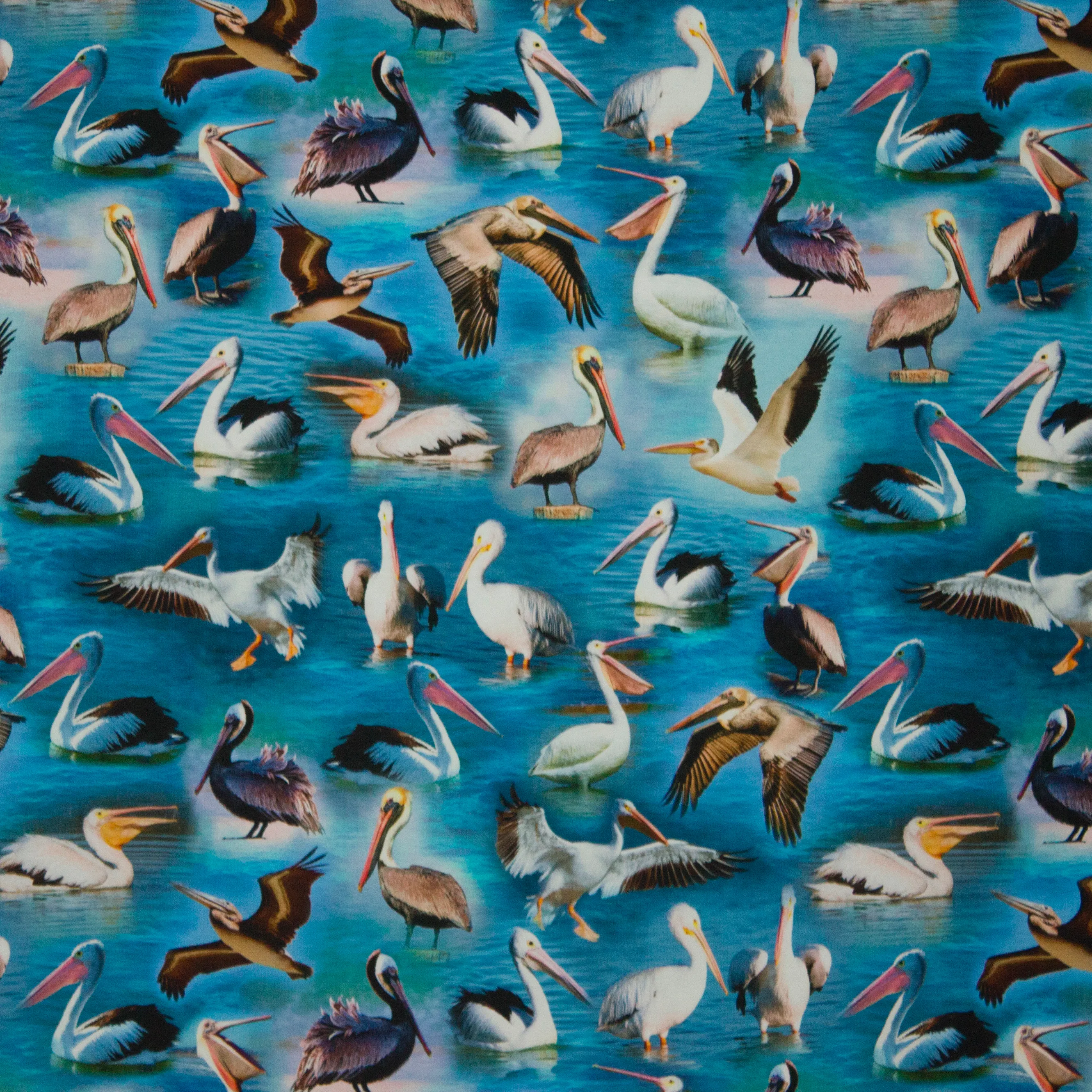 Tricot met pelikanen