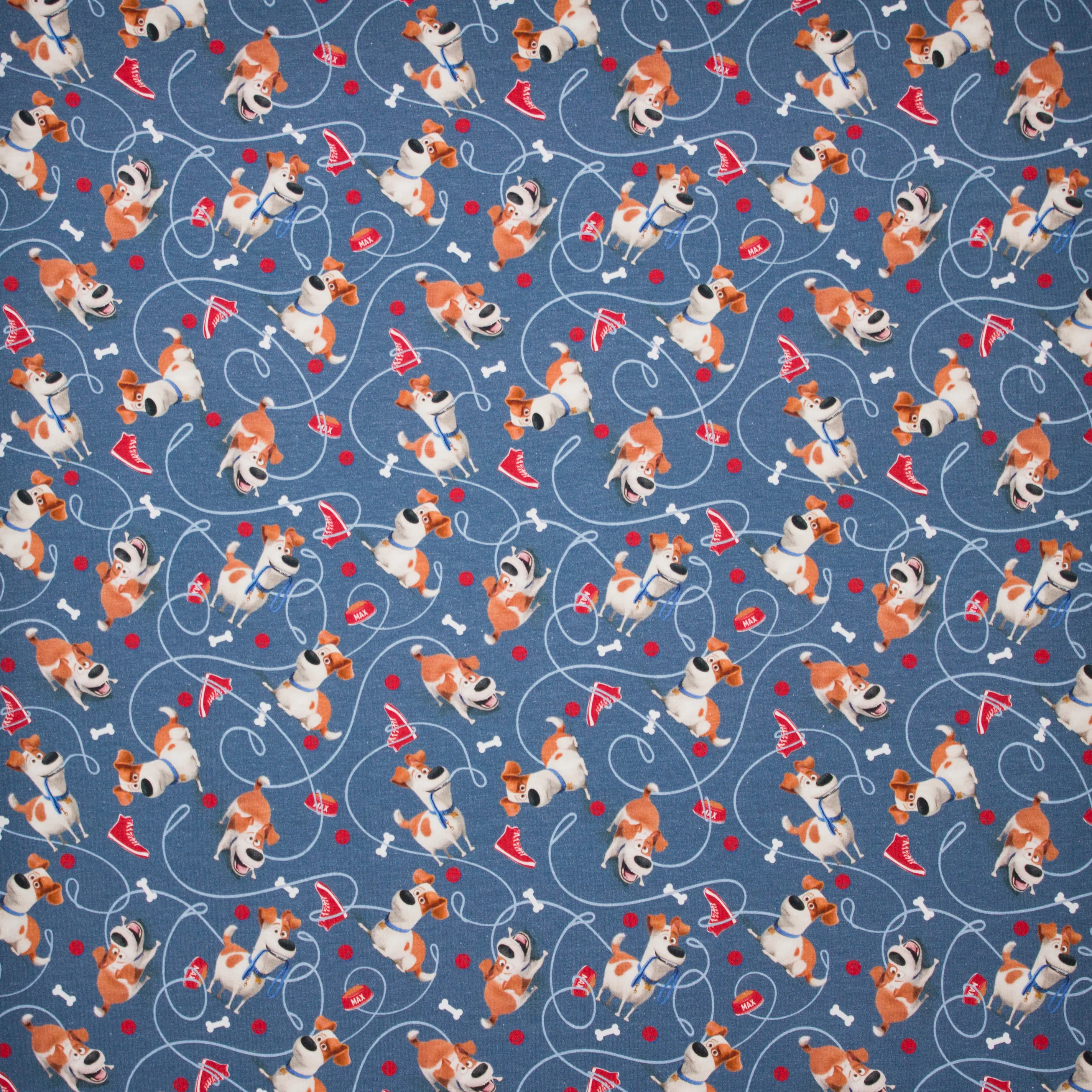 Blauwe tricot van Pets