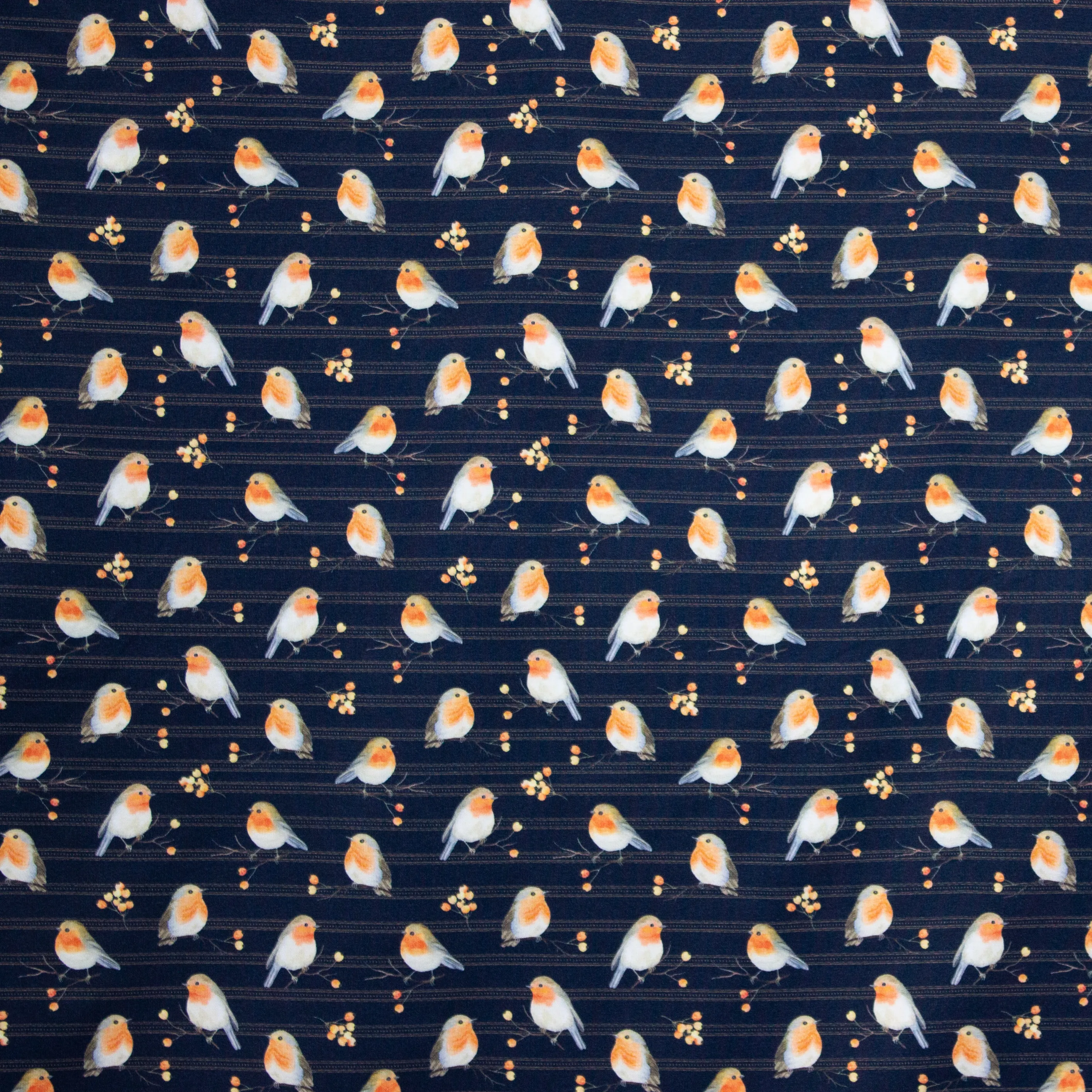Donkerblauwe tricot met roodborstjes