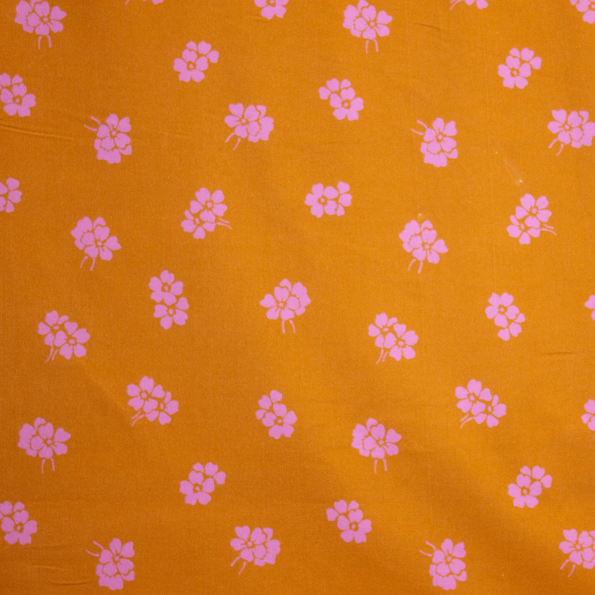 Oranje Ribfluweel - La Maison Victor