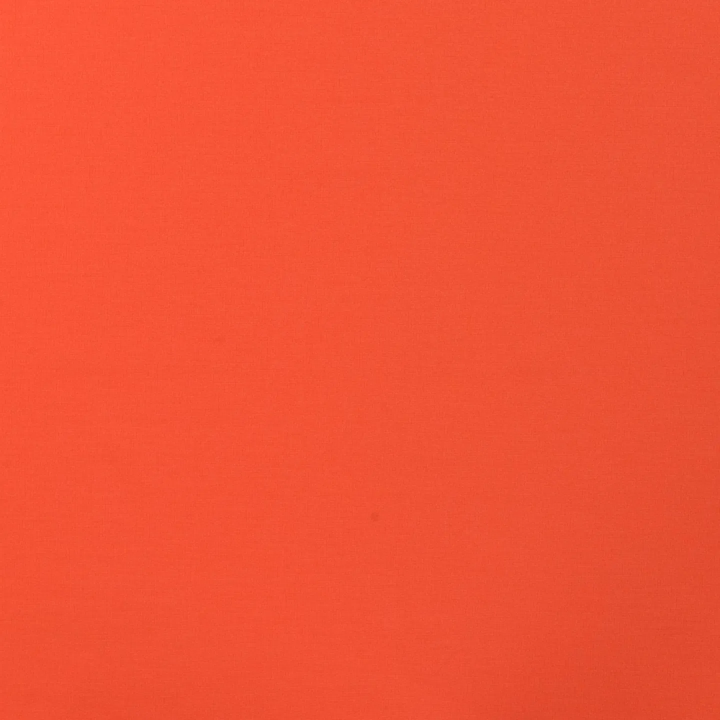 Zomerpunta oranje
