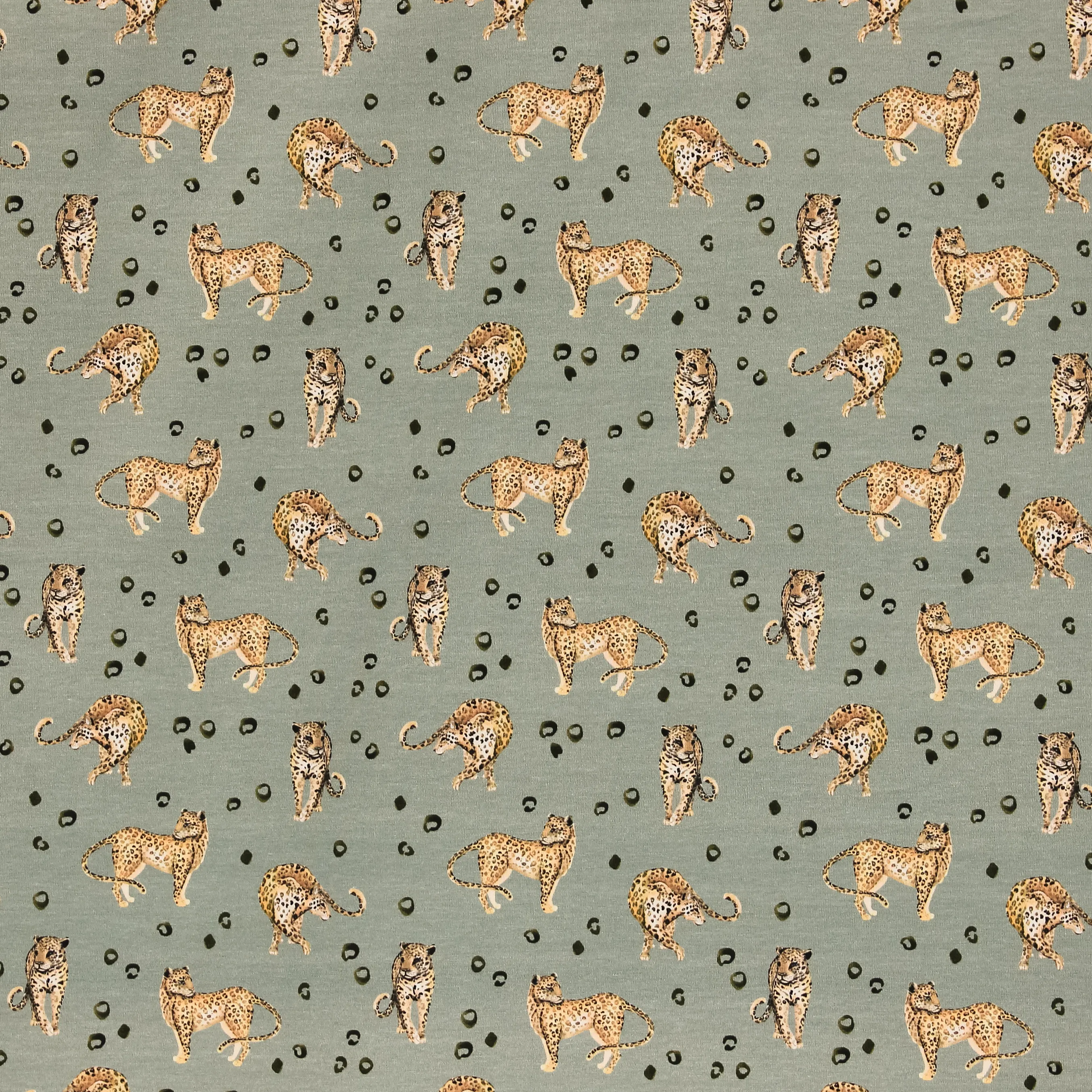 Tricot grijsgroen met luipaarden