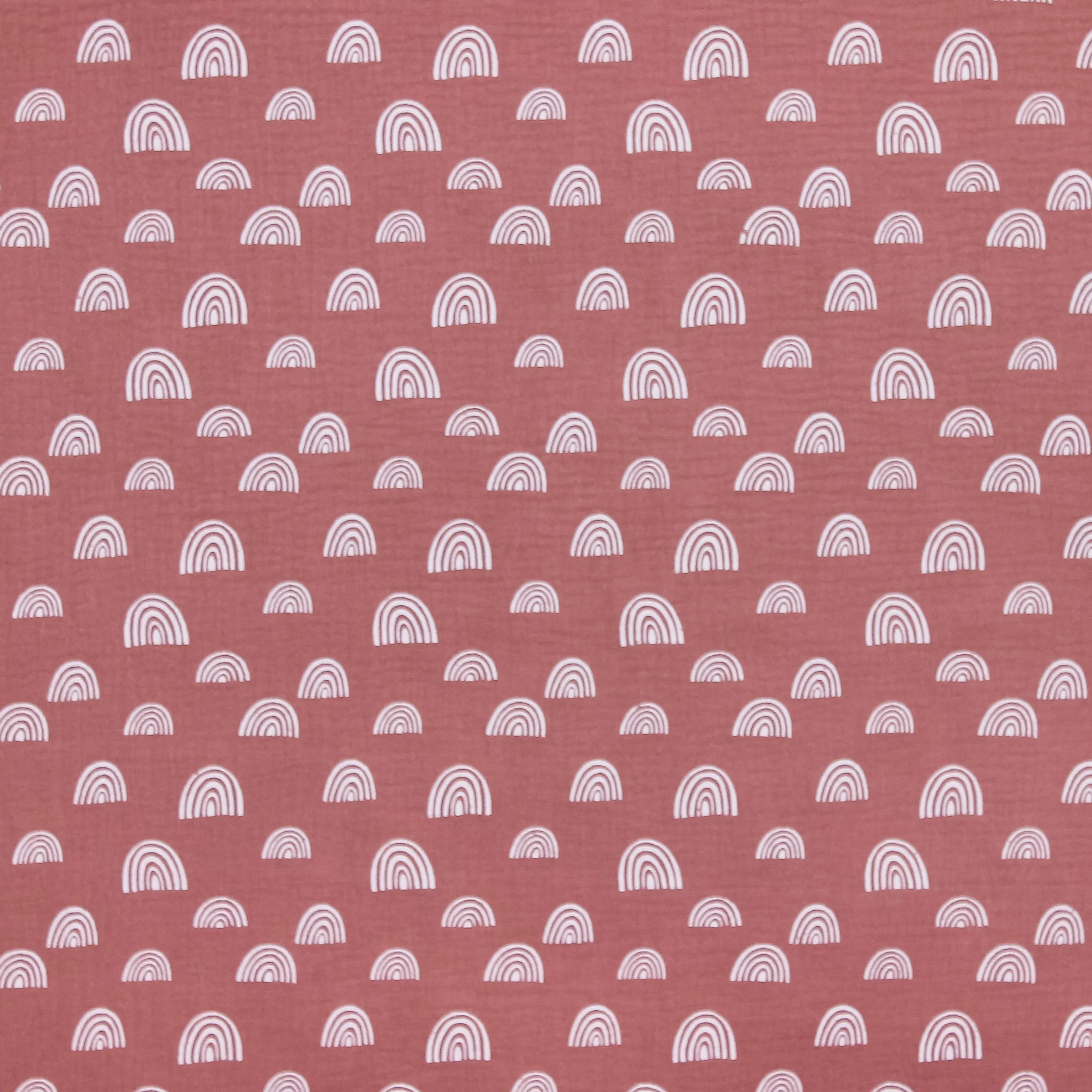 Tetra roze met witte regenboogjes