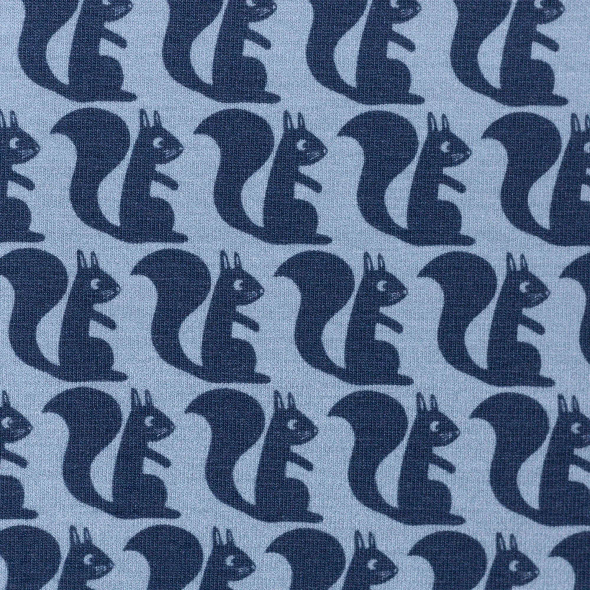 Blauwe tricot met eekhoorns