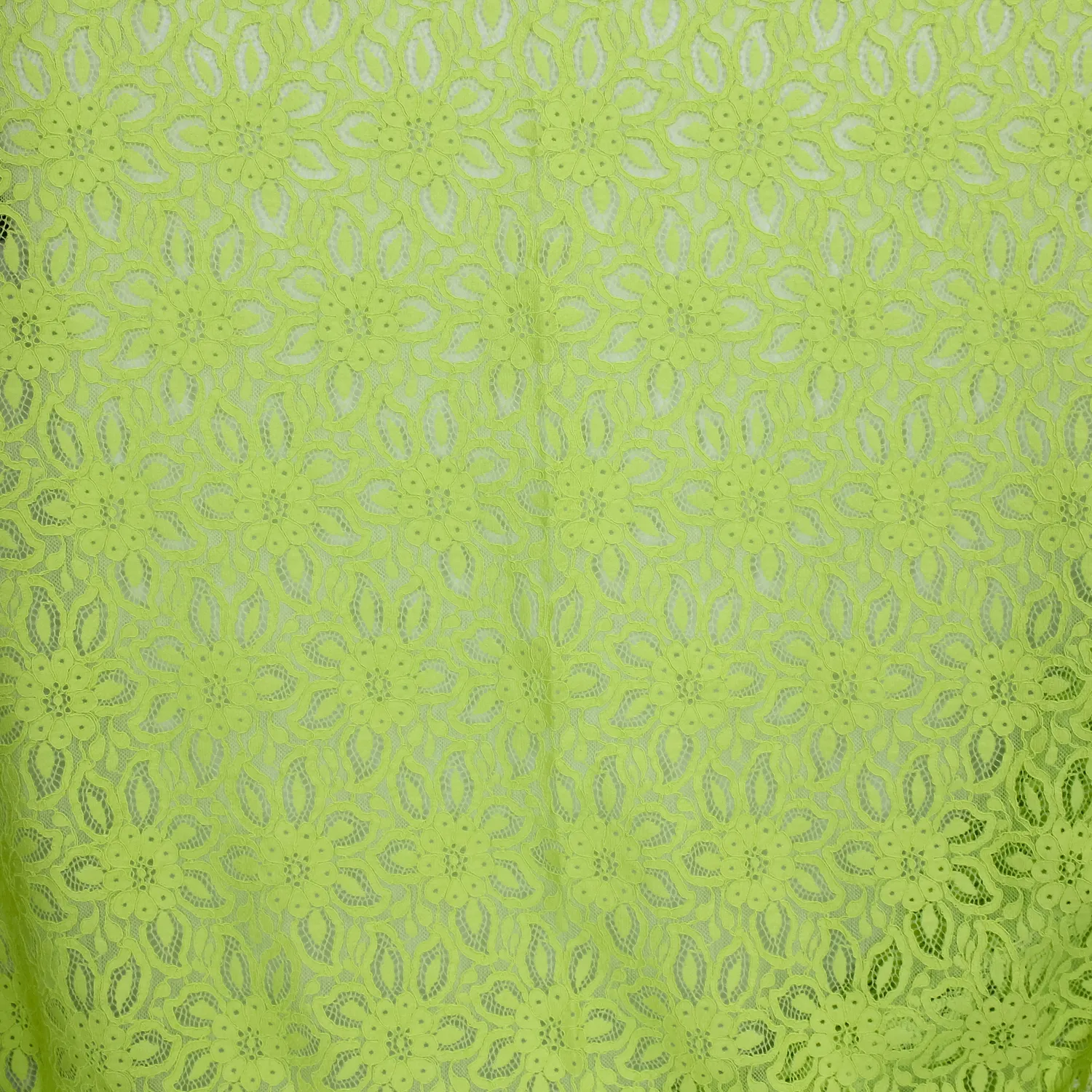 Kant lente groen