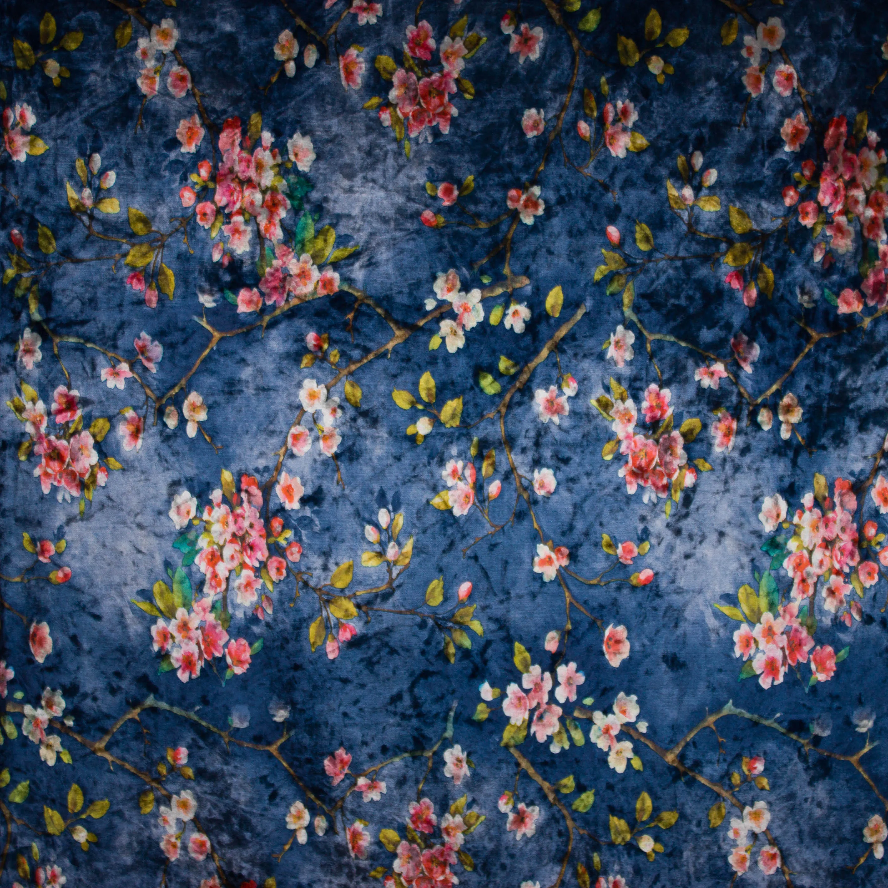 Soepele stretchfluweel met bloemenprint