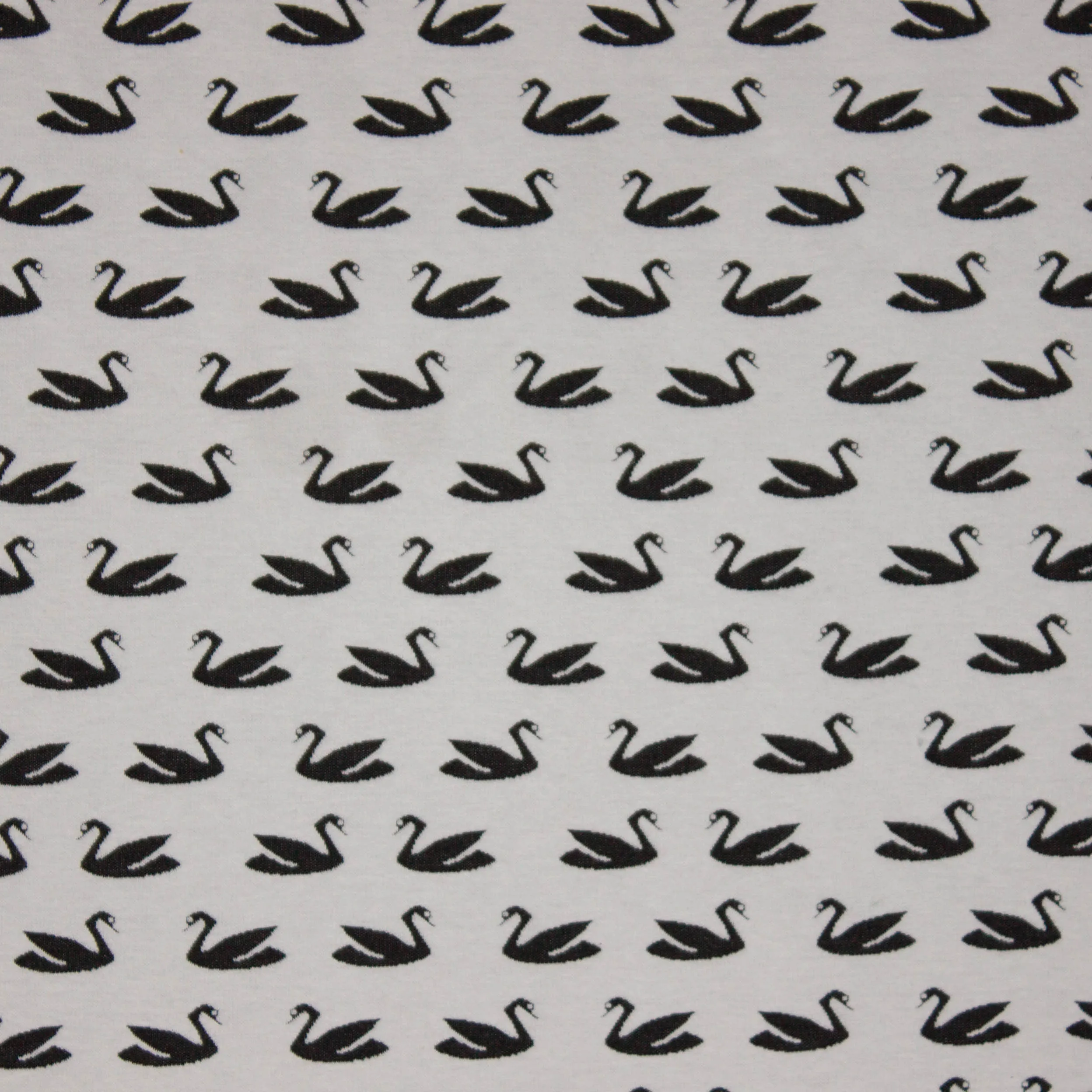 Ecru stretch jacquard met zwarte zwanen