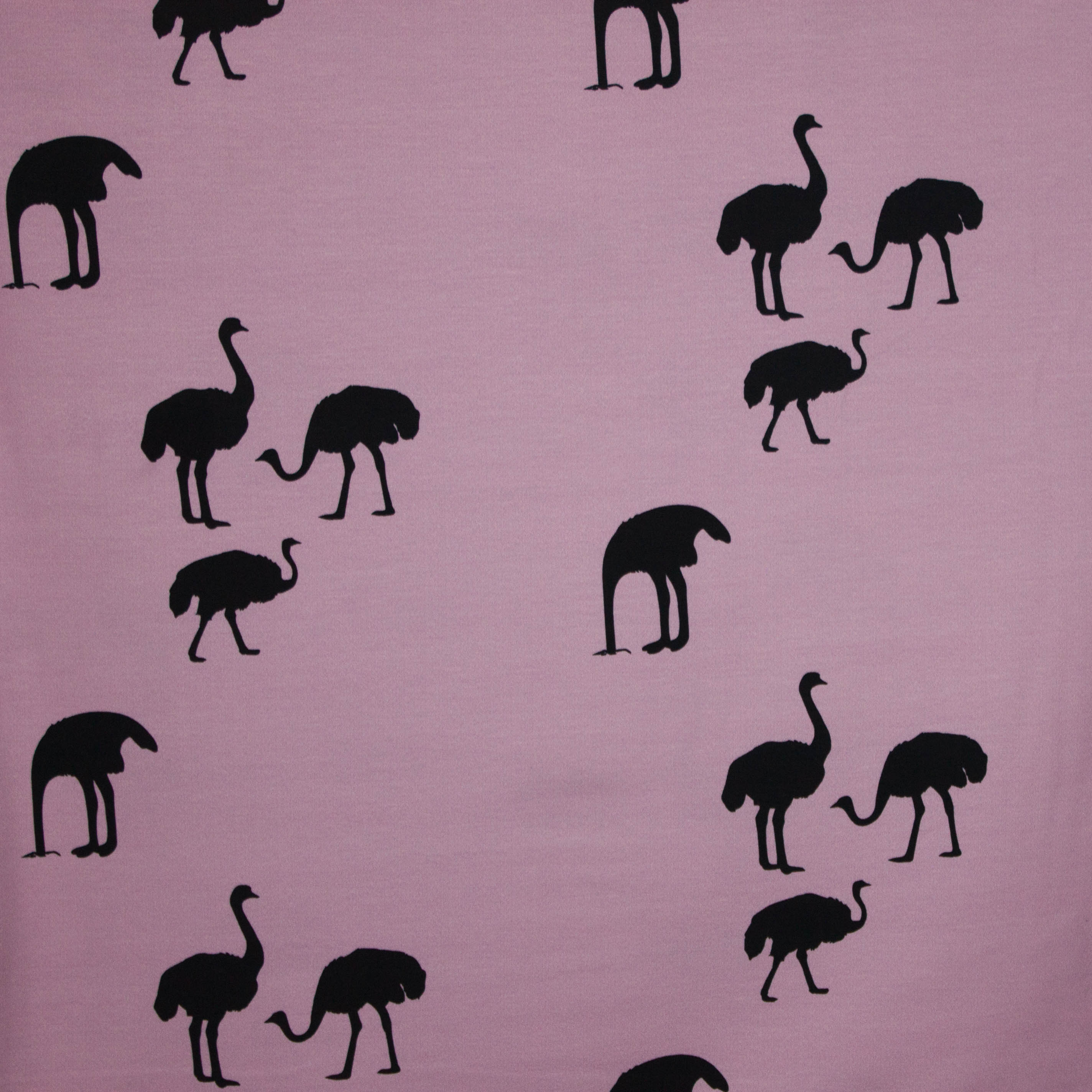 French Terry lila roze struisvogelmotief