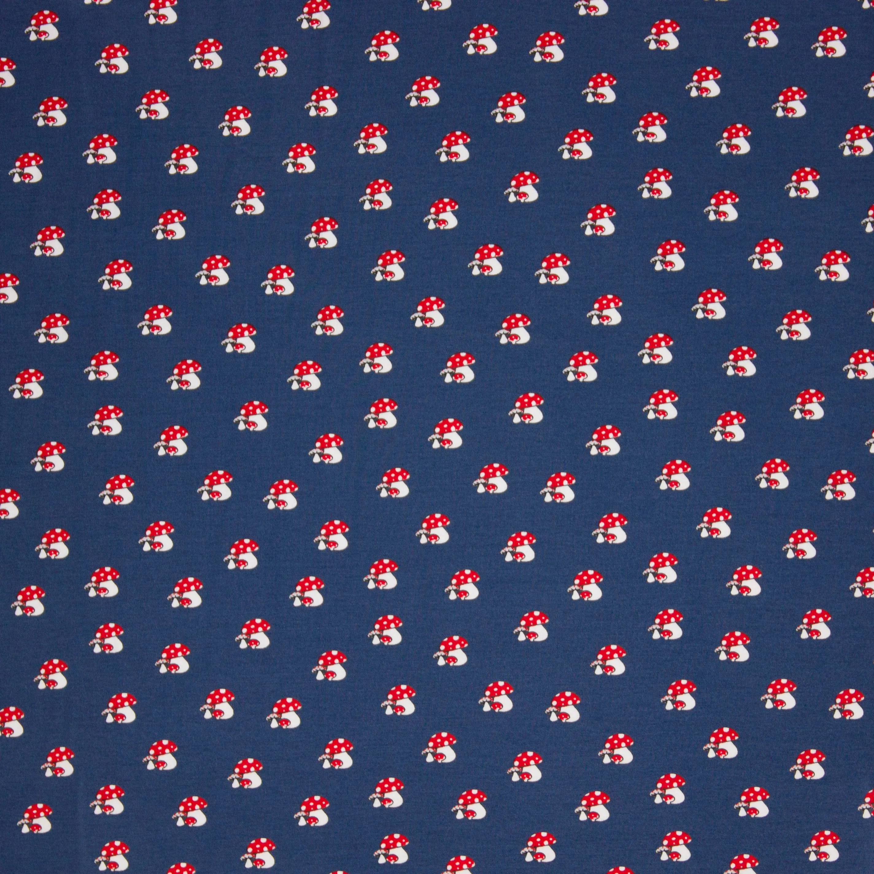 Blauwe tricot met paddenstoelen