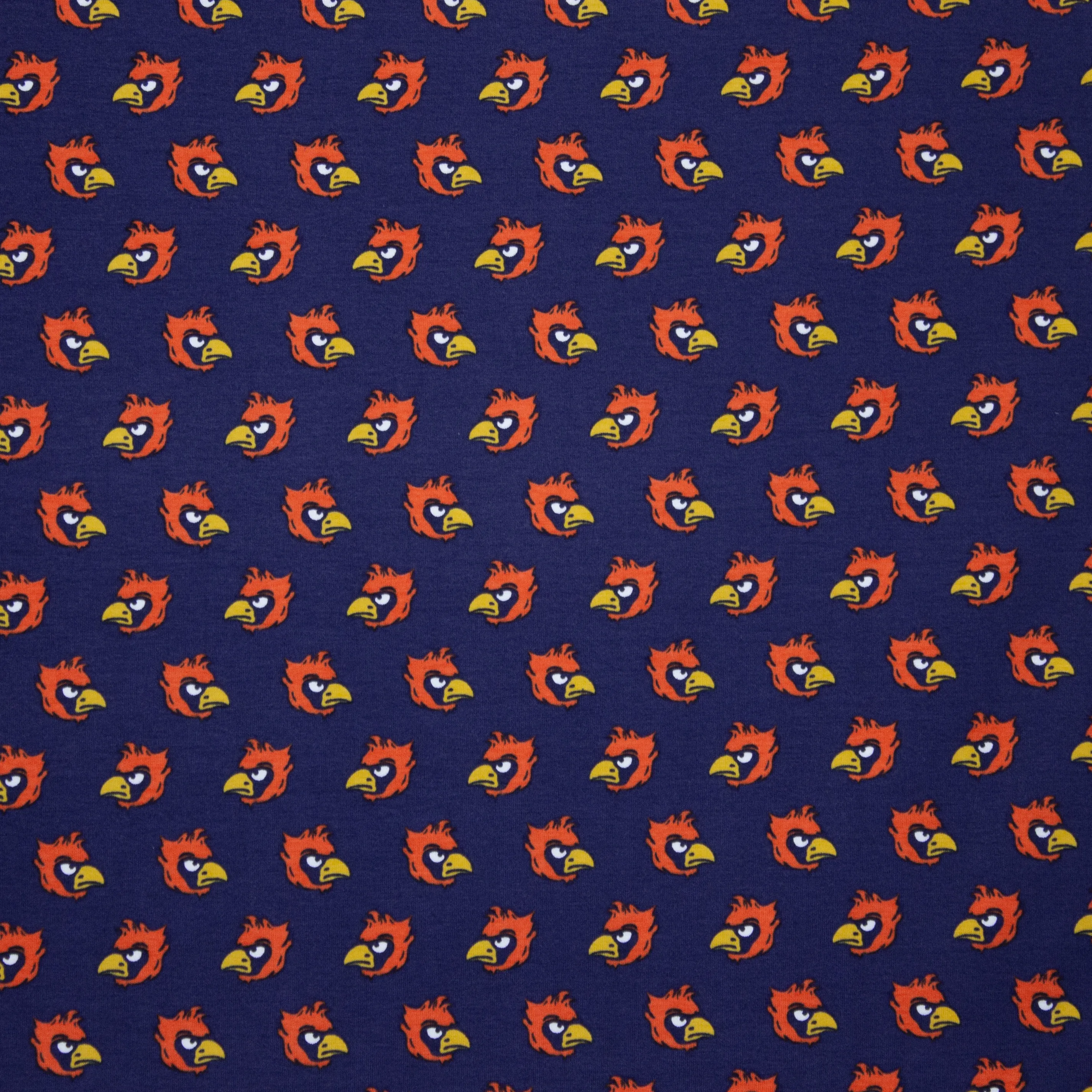 Blauwe tricot met vogels 'Angry Birds'