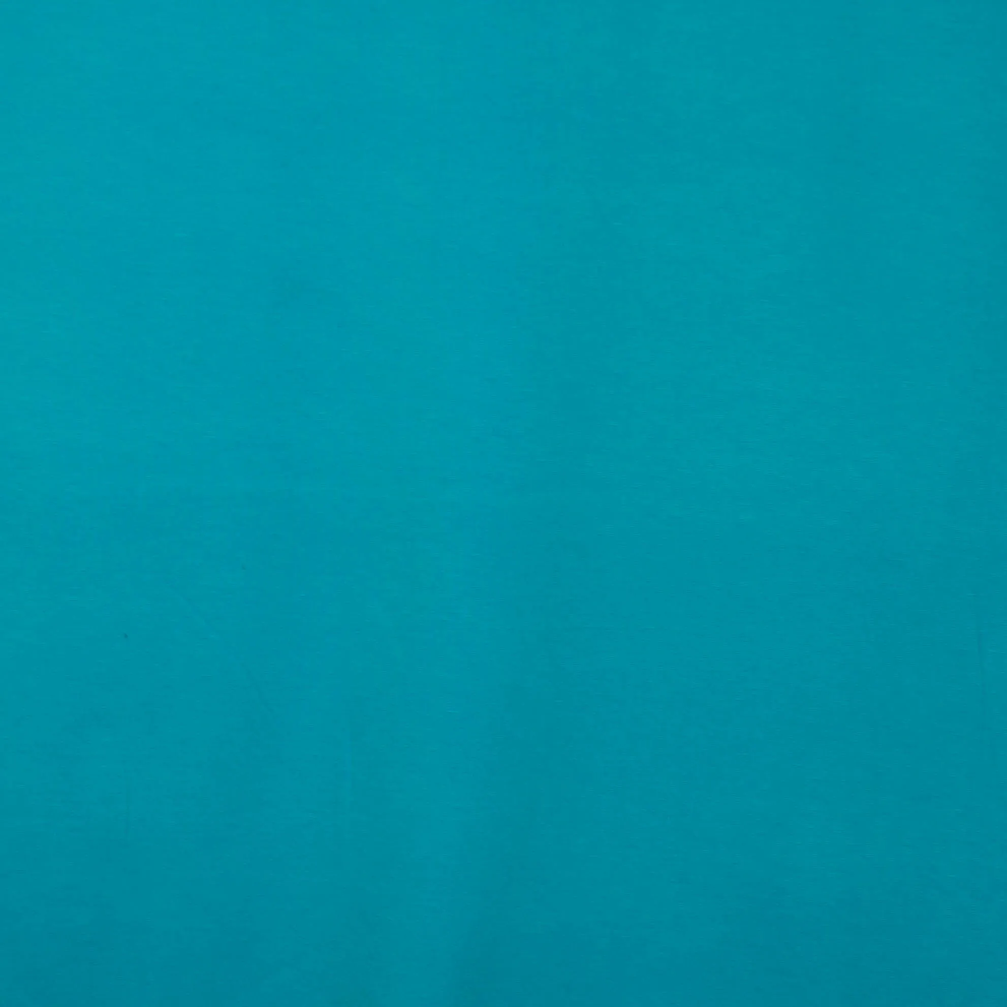 Punta di Roma Blauw